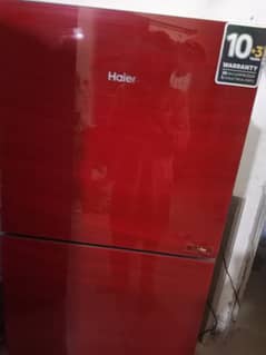 Haier medium size fridge glass door full warranty