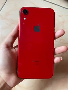 IPHONE XR NON PTA WATER PACKED 10/10 77 BATTERY HEALTH 0