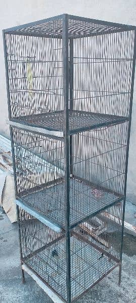 cage for sell 10000 2