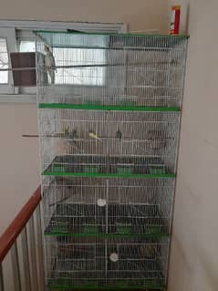 large cage with 8 portions