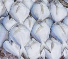 Paplet Machi Paplet Fish pomfret Fish Fresh