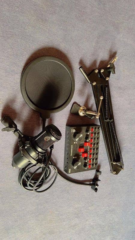 condenser microphone + collar mic 2