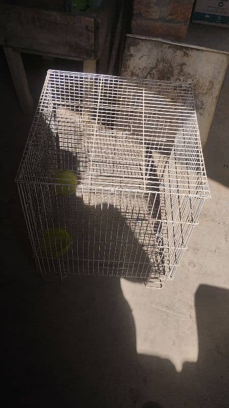 metal cage for parrots chicks java sparrows 3