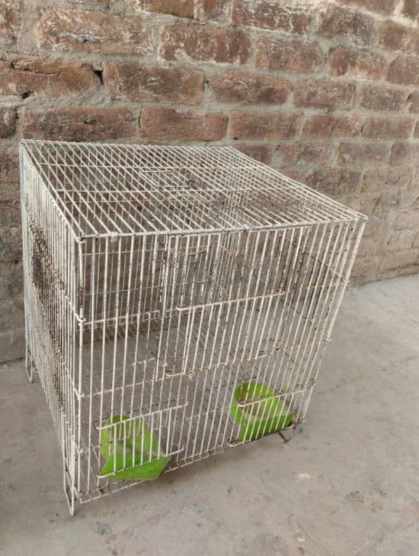 metal cage for parrots chicks java sparrows 5