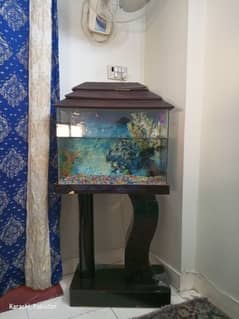 fish aquarium in excellent condition