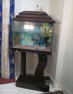 fish aquarium in excellent condition