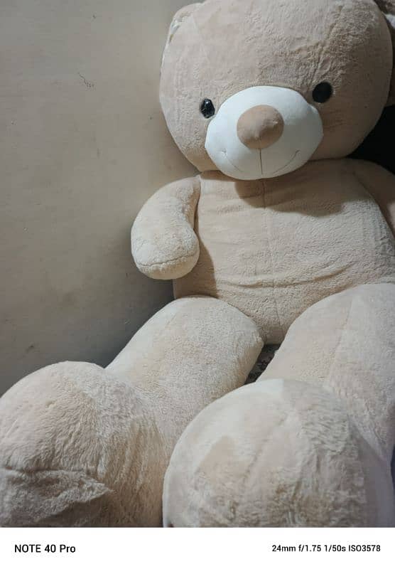 teddy bear 1