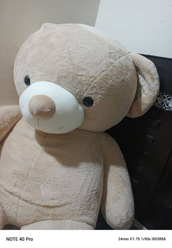 teddy bear 3