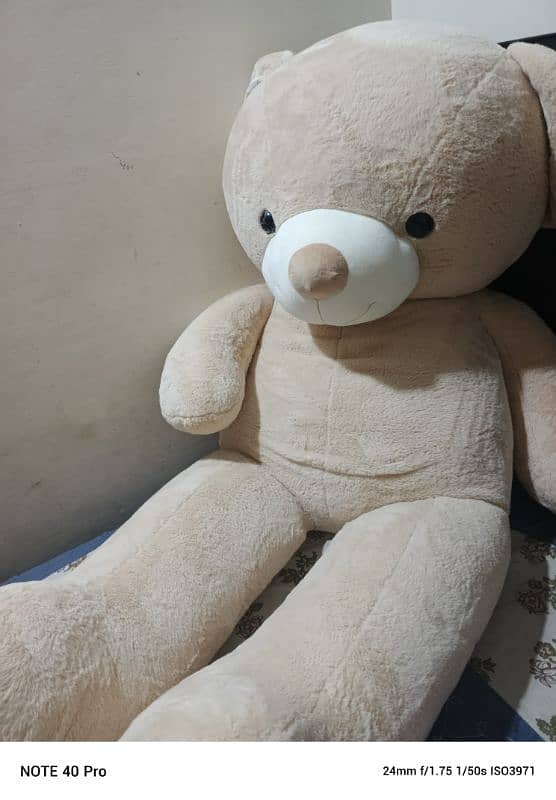 teddy bear 4