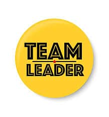 Looking for team leader