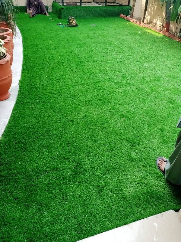 Artificial Grass 2