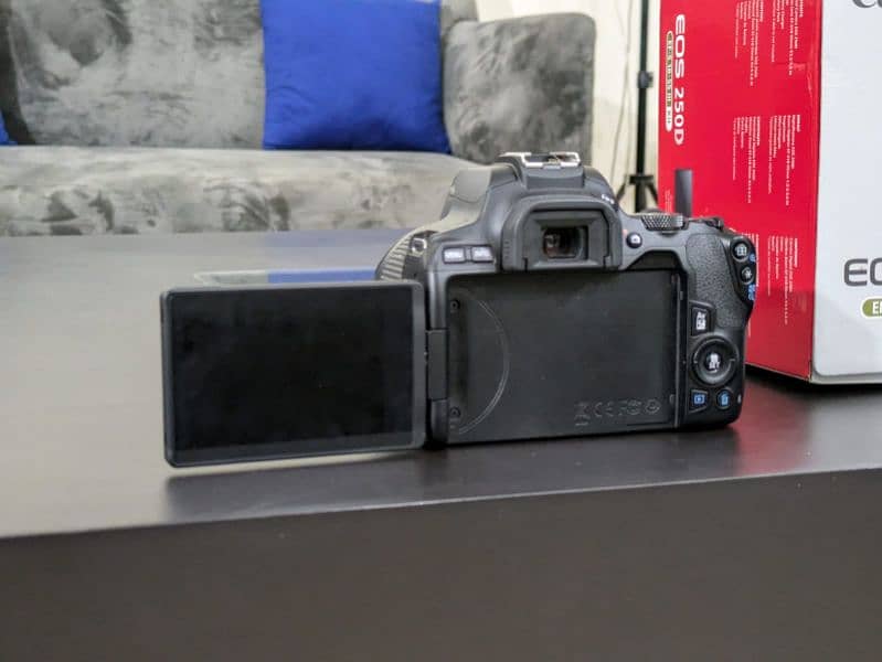 Canon 250D Mint Condition 2