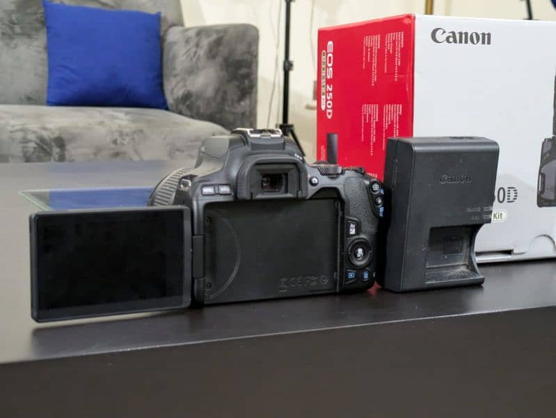 Canon 250D Mint Condition 4