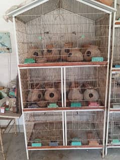 Birds Cages for sell total 4 cages 0