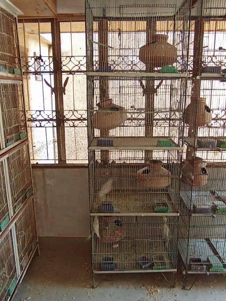 Birds Cages for sell total 4 cages 3