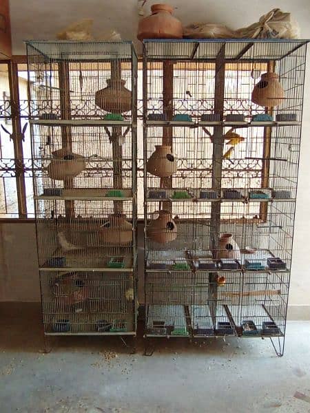 Birds Cages for sell total 4 cages 5