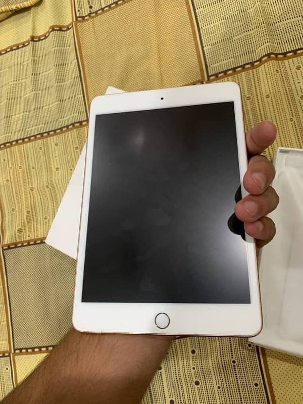 Apple Ipad Mini 5 64 gb 0