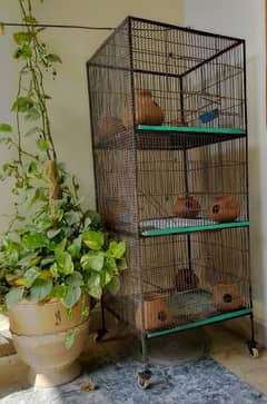 Birds cage with 3 partition for sale in reasonable price 0