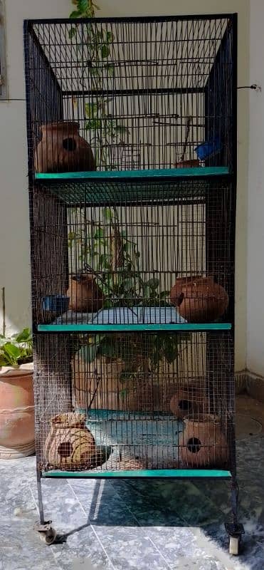 Birds cage with 3 partition for sale in reasonable price 2