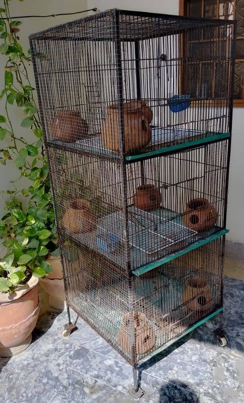 Birds cage with 3 partition for sale in reasonable price 3