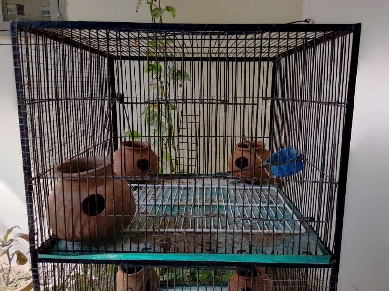 Birds cage with 3 partition for sale in reasonable price 4