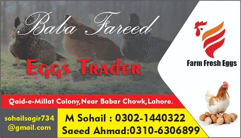 Baba Fareed Egg Traders Hole sail Rate par dastiyab hai 0