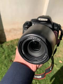 Canon EOS 700D with EFS 55 - 250mm lens