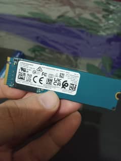 Original KIOXIA 256GB NVME SSD 100℅health