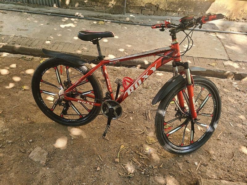 cycle Almunium Roxy Brand 2