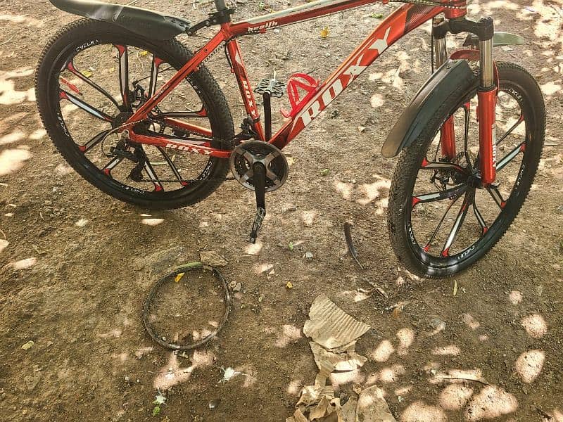 cycle Almunium Roxy Brand 6