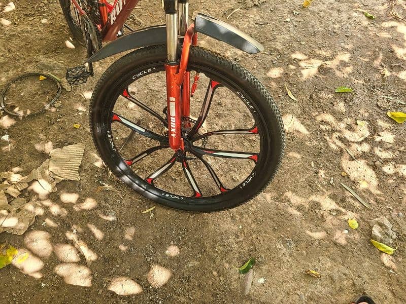 cycle Almunium Roxy Brand 11