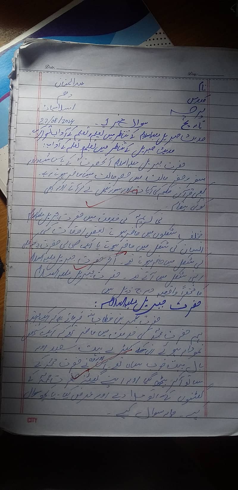 Professional work Urdu and English assignments in low cast 16