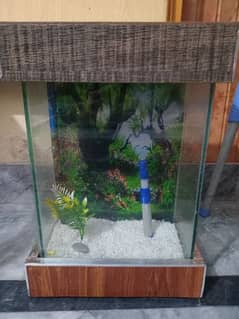 Fully Furnished Aquarium For Sale