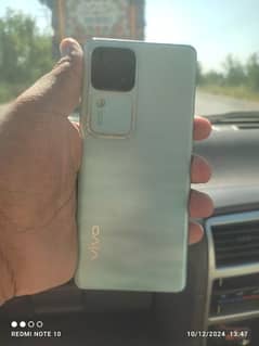 vivo