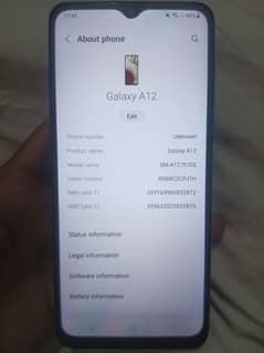 Samsung A12.4/64