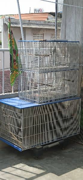 Cage lovebirds java finch cockatiel 1