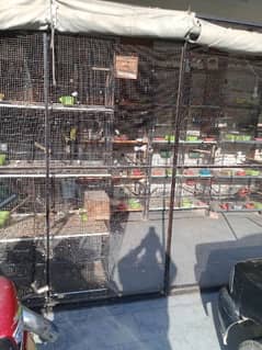 used Birds cages looking for new home 0