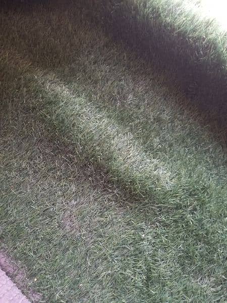 ARTIFICIAL GRASS CARPET URGENTLY NEEDS TO SELL 1