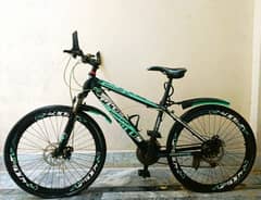 Plus Mountain Bike