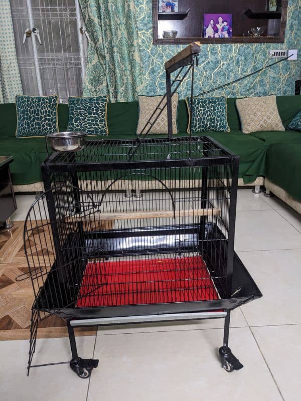 New Bird Cage 3