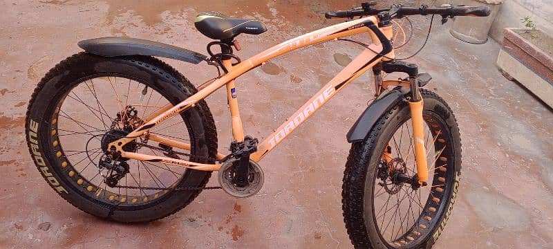 Fatty bike for sale 1