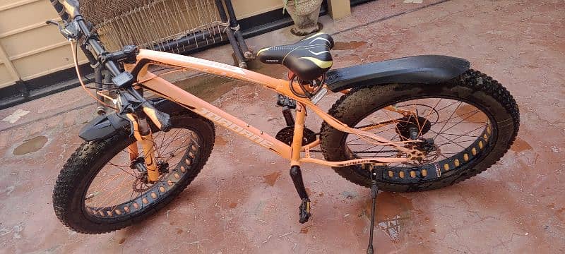 Fatty bike for sale 2