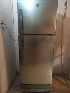 MEDIUM SIZE PEL FRIDGE