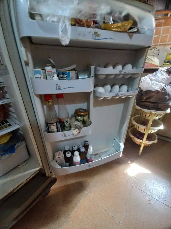 MEDIUM SIZE PEL FRIDGE 4