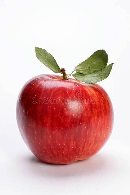 Apple (saspolo) 0