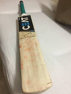 hard ball cricket bat