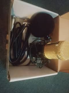 Condenser Microphone Export Quality