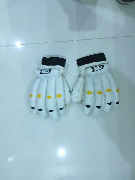 Slazenger Cricket equipment 3