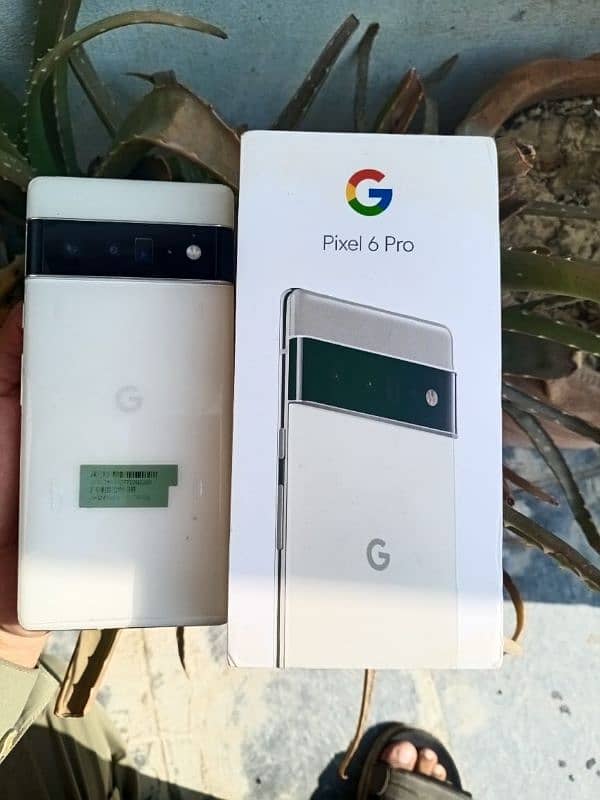 google pixel 6 pro 12 I/128 with box non pta screen crash hn dot hn 1