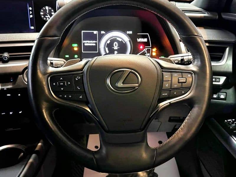 Lexus Other 2021 17